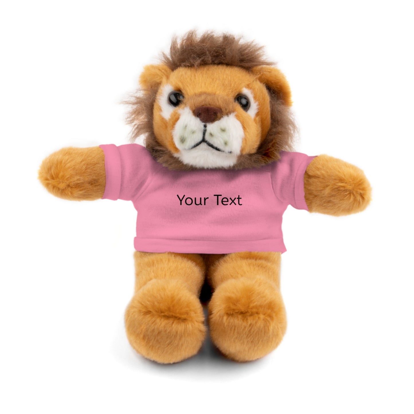 Personalized Stuffed Animal with Tee, Custom Teddy Bear Gift, Cuddly Plush Toy