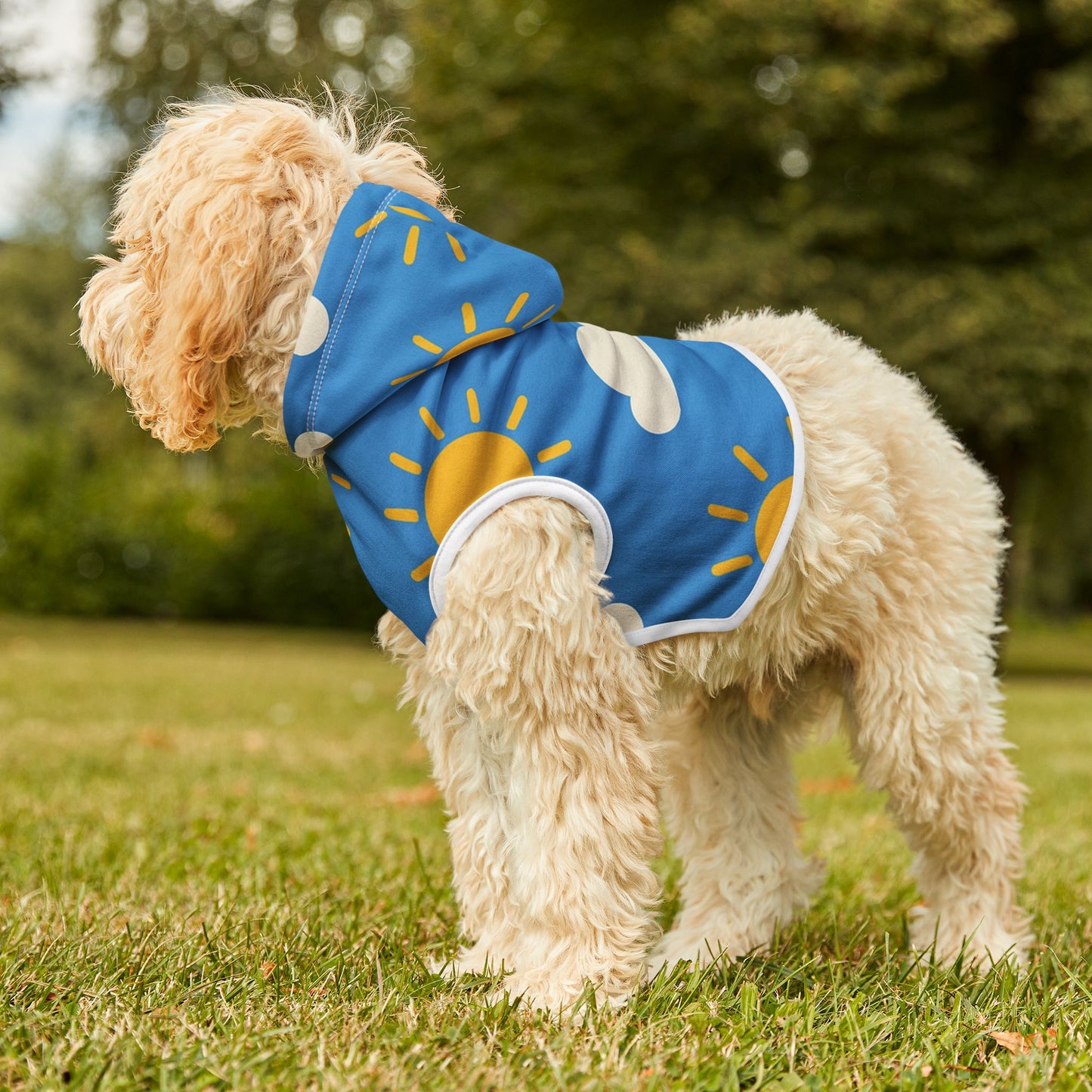 Sunny Skies Pet Hoodie