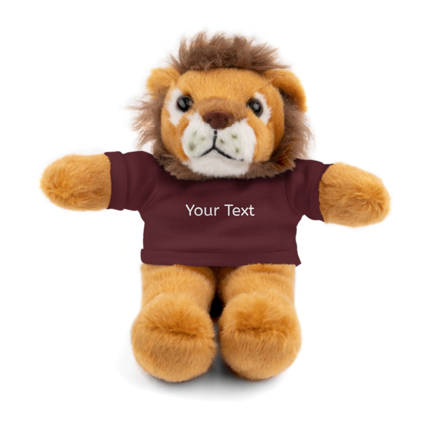 Personalized Stuffed Animal with Tee, Custom Teddy Bear Gift, Cuddly Plush Toy