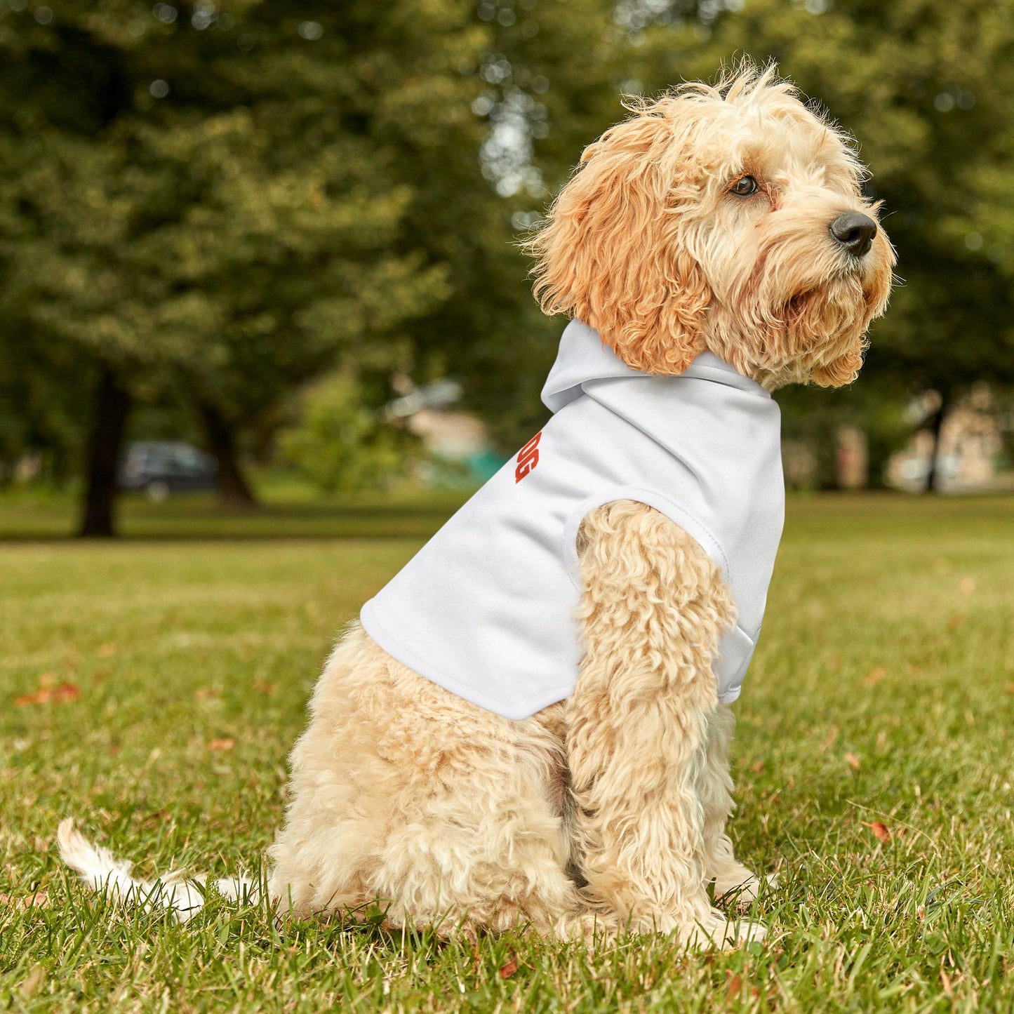 Underdog Pet Hoodie