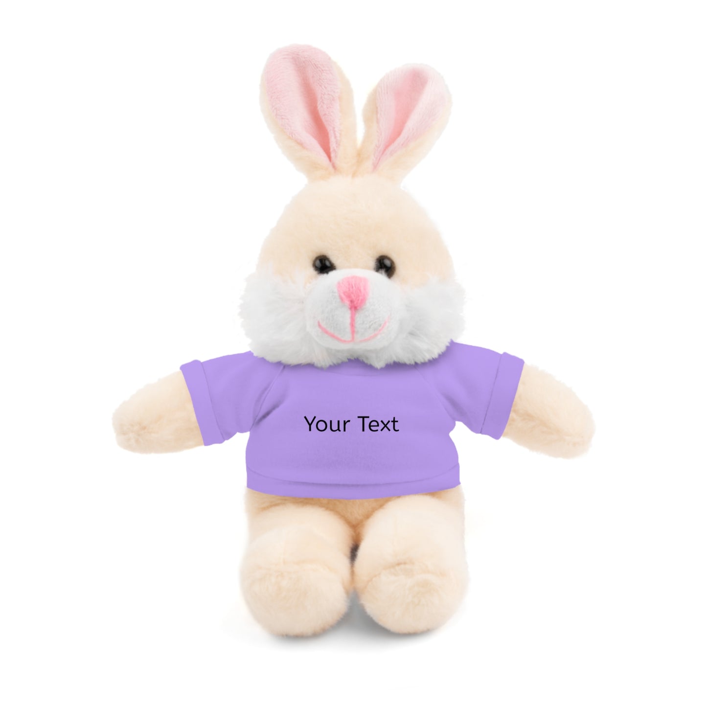 Personalized Stuffed Animal with Tee, Custom Teddy Bear Gift, Cuddly Plush Toy