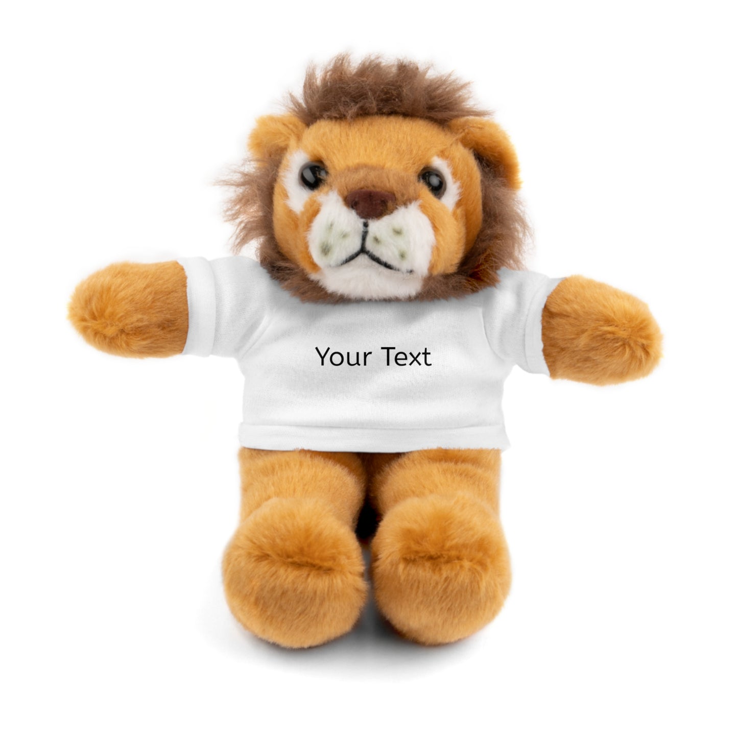 Personalized Stuffed Animal with Tee, Custom Teddy Bear Gift, Cuddly Plush Toy