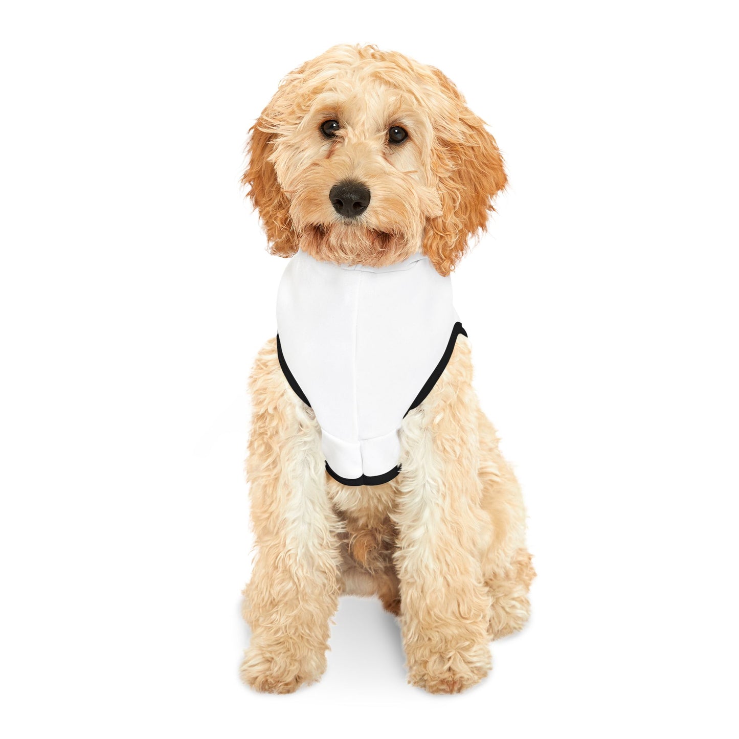 Underdog Pet Hoodie