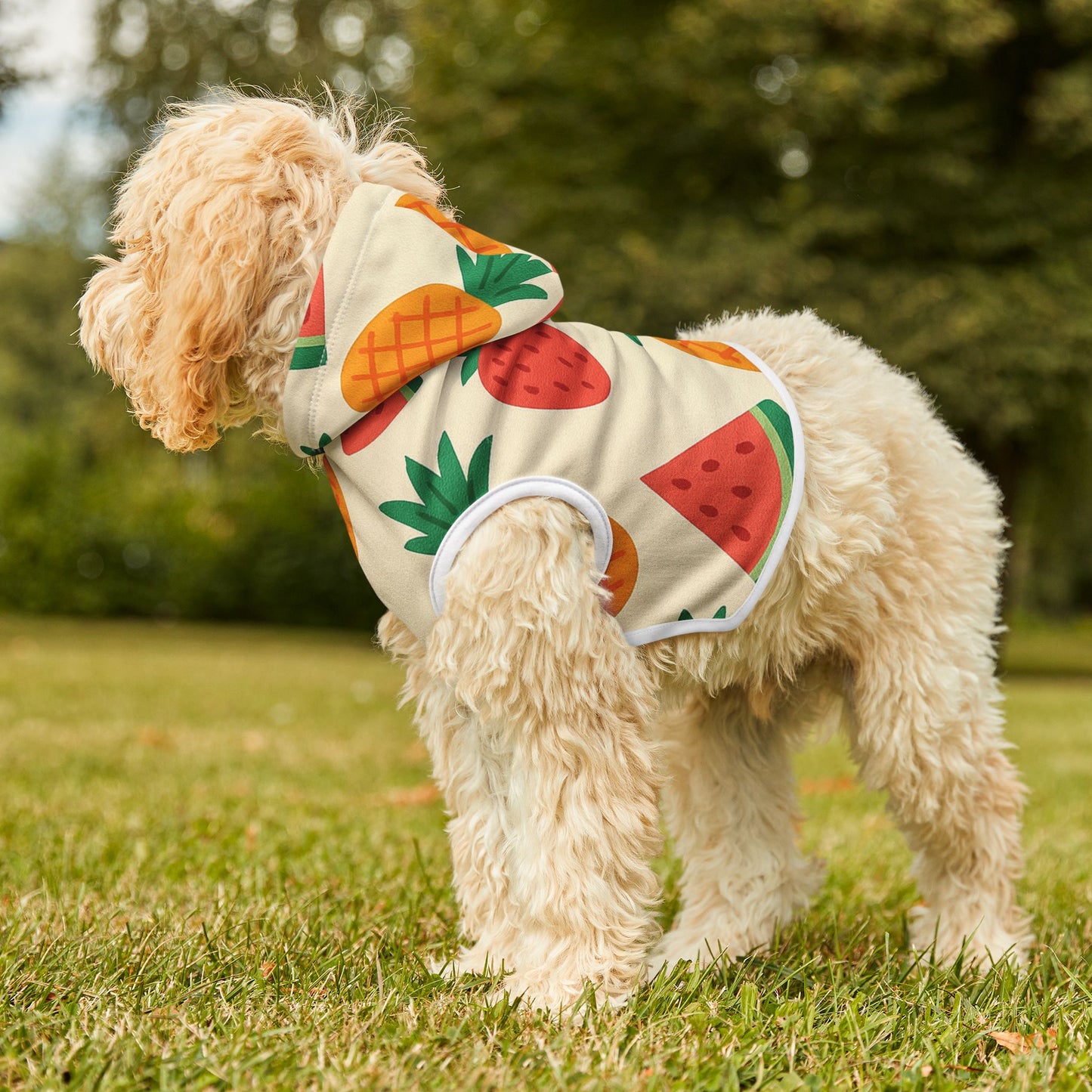 Tropical Fruit Pet Hoodie