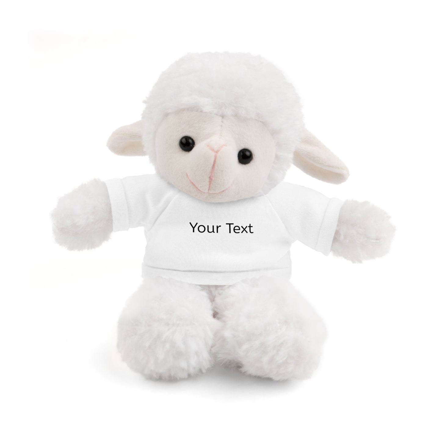 Personalized Stuffed Animal with Tee, Custom Teddy Bear Gift, Cuddly Plush Toy