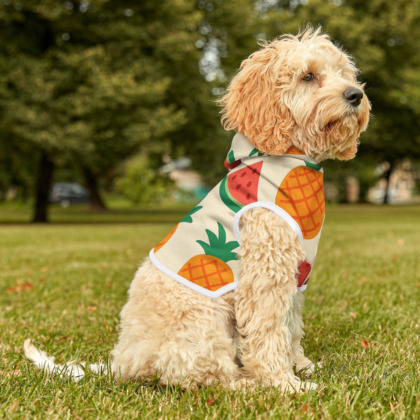 Tropical Fruit Pet Hoodie