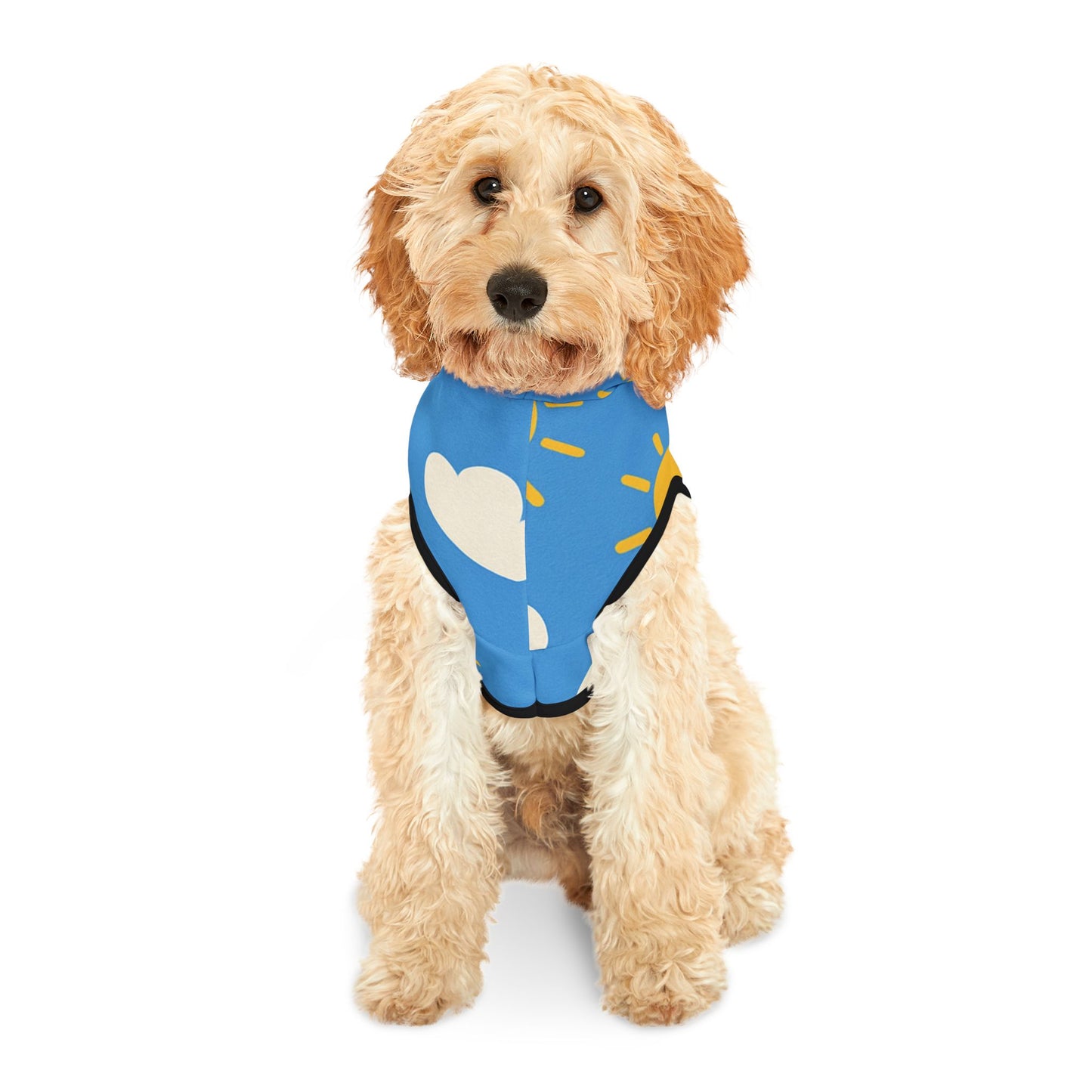 Sunny Skies Pet Hoodie