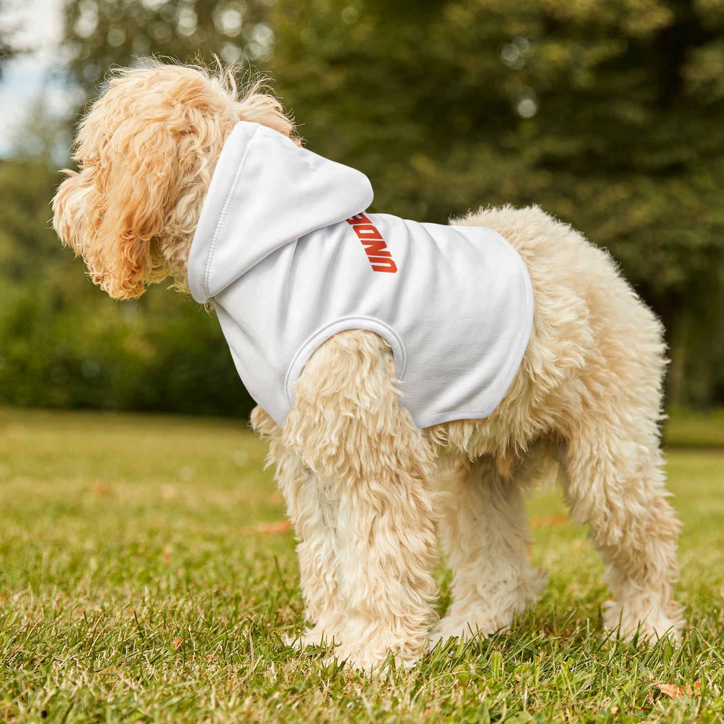 Underdog Pet Hoodie