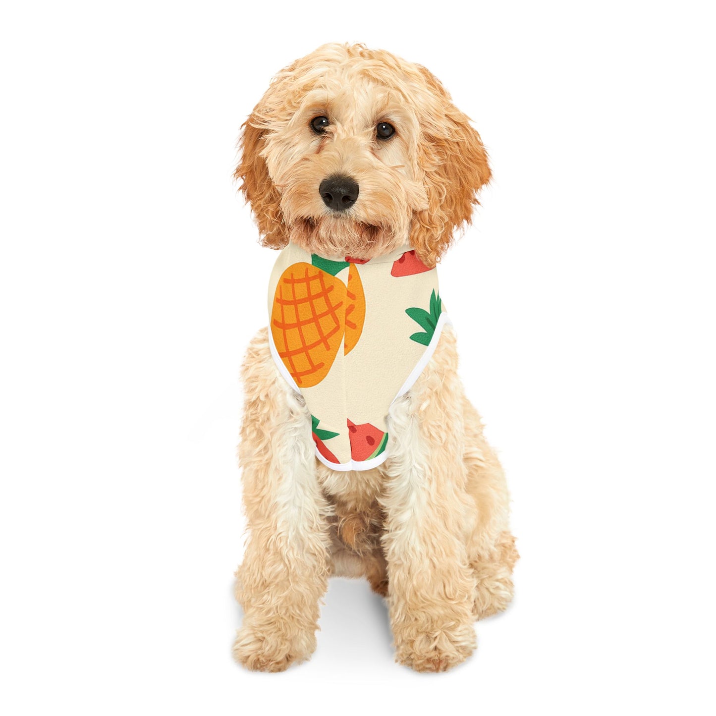 Tropical Fruit Pet Hoodie