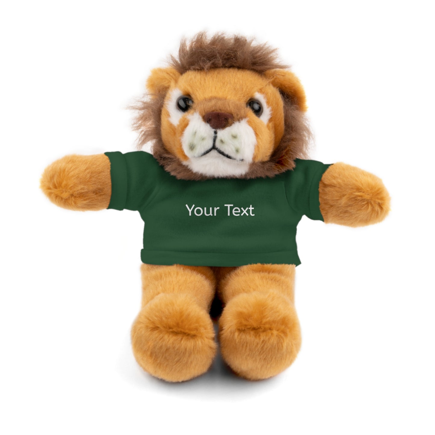 Personalized Stuffed Animal with Tee, Custom Teddy Bear Gift, Cuddly Plush Toy