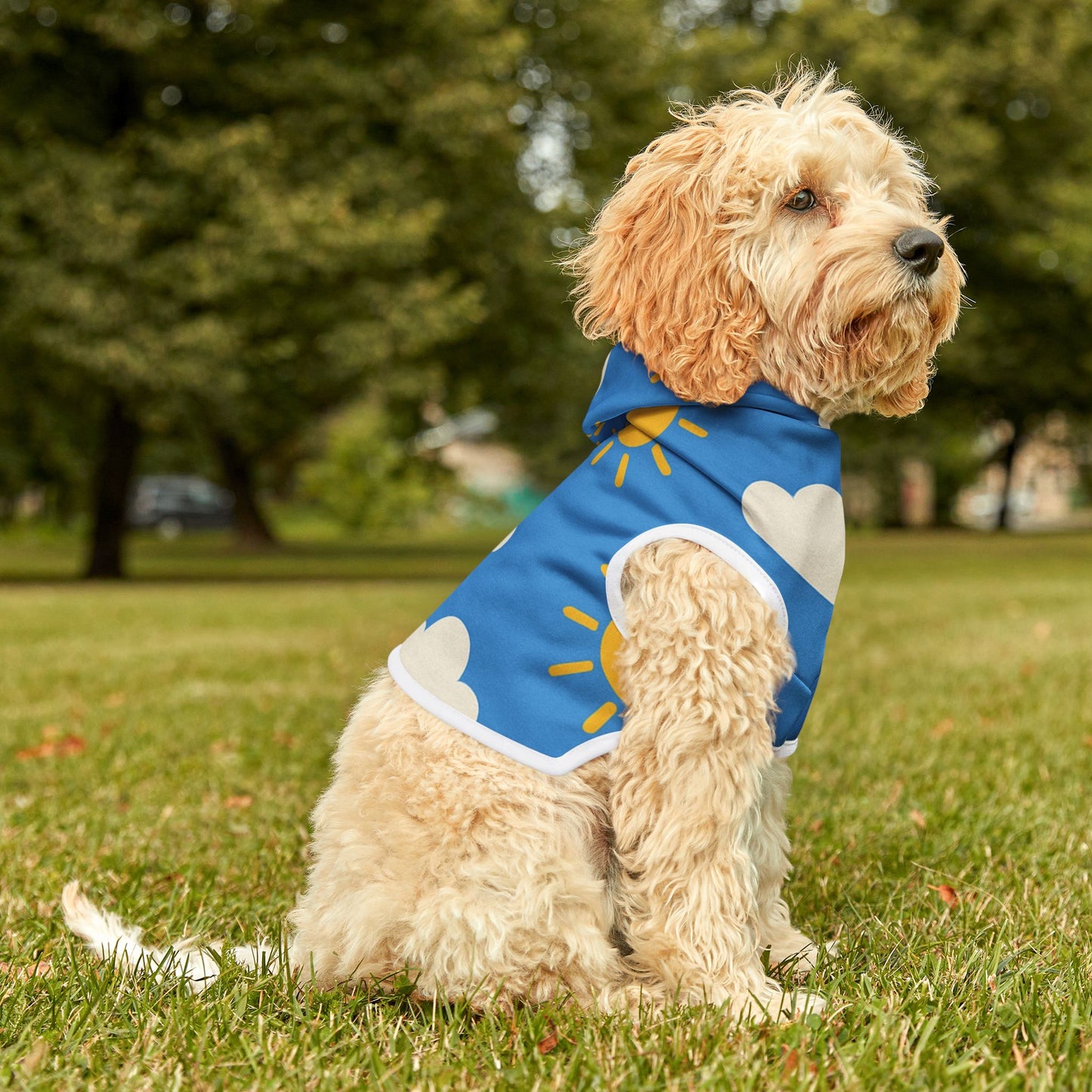 Sunny Skies Pet Hoodie