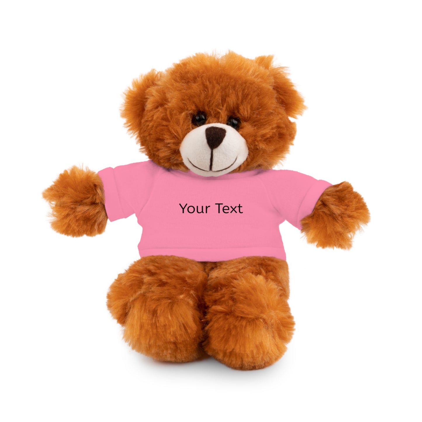 Personalized Stuffed Animal with Tee, Custom Teddy Bear Gift, Cuddly Plush Toy