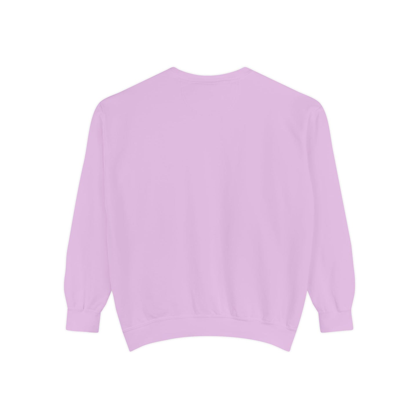 Paint Sweatshirt Embroidery Unisex