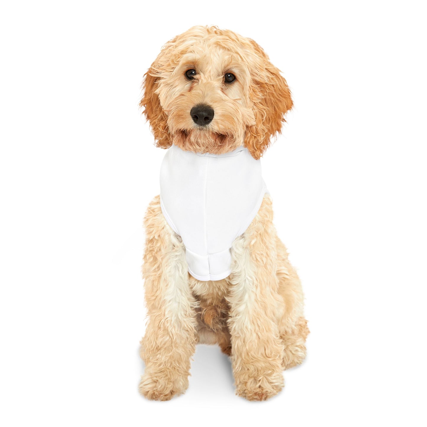 Underdog Pet Hoodie