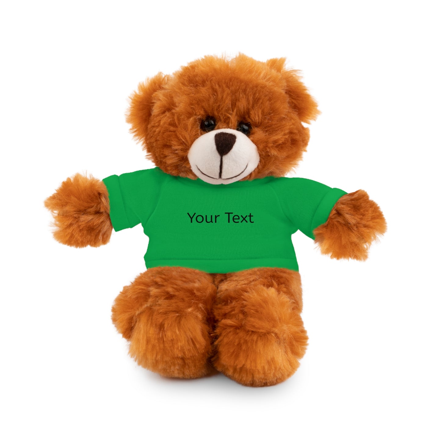 Personalized Stuffed Animal with Tee, Custom Teddy Bear Gift, Cuddly Plush Toy