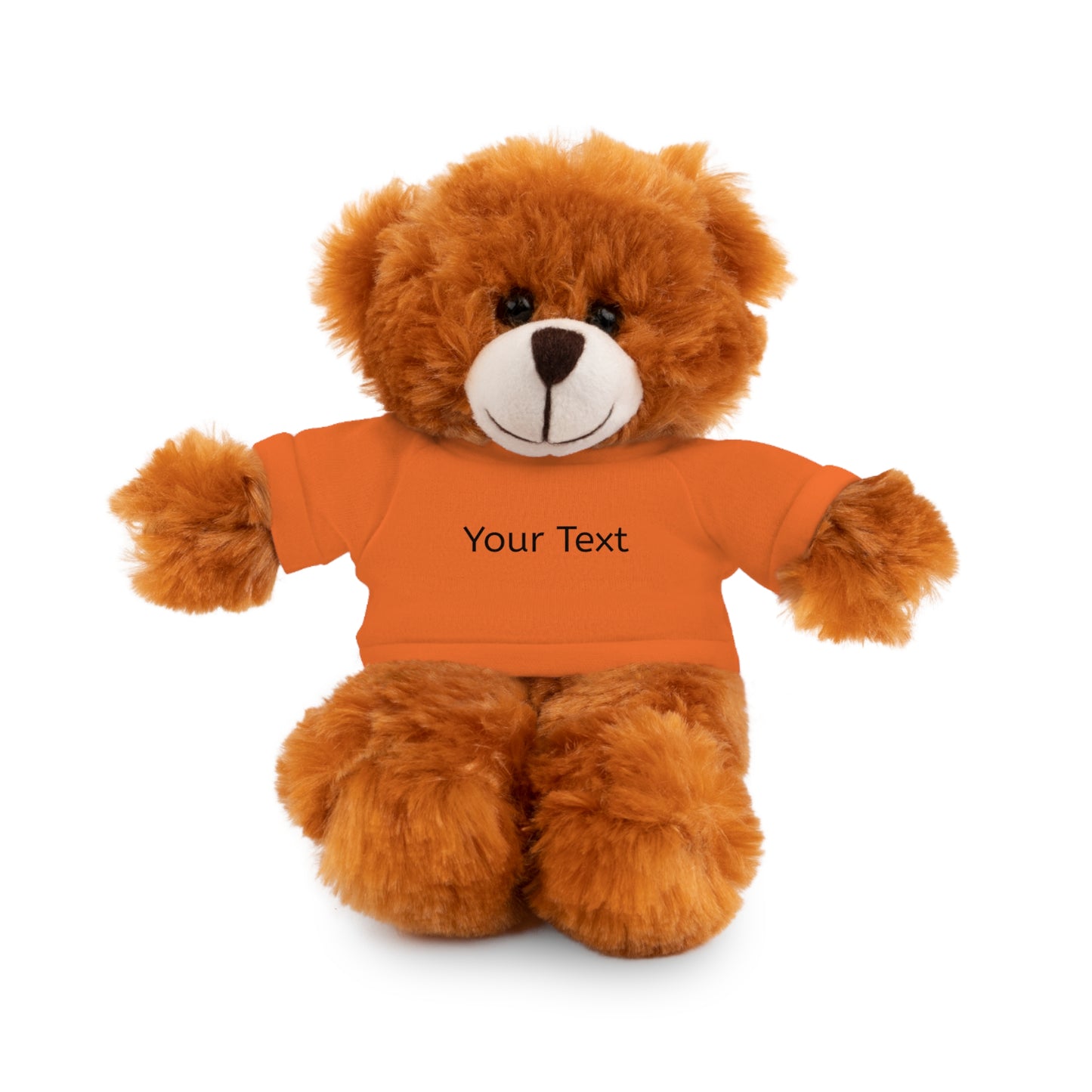 Personalized Stuffed Animal with Tee, Custom Teddy Bear Gift, Cuddly Plush Toy