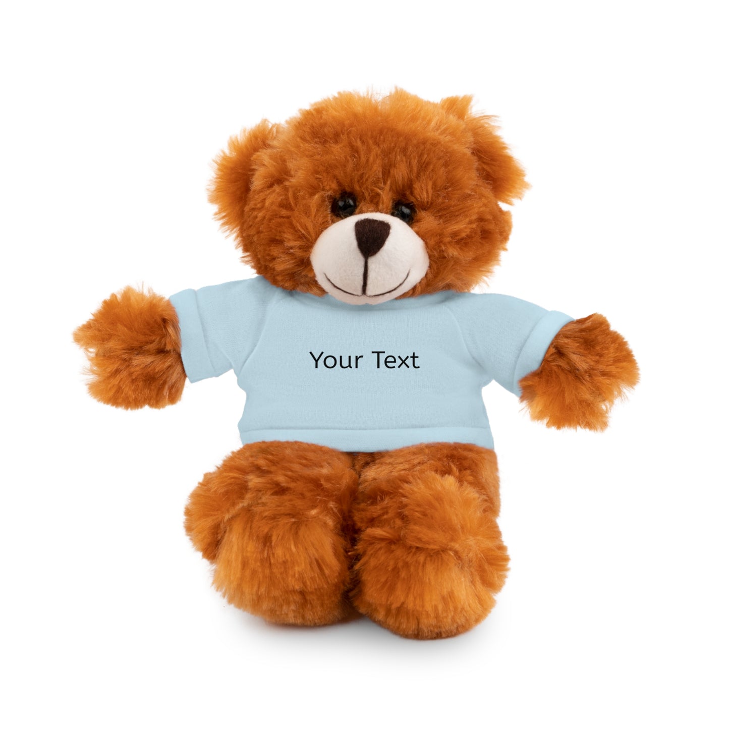 Personalized Stuffed Animal with Tee, Custom Teddy Bear Gift, Cuddly Plush Toy