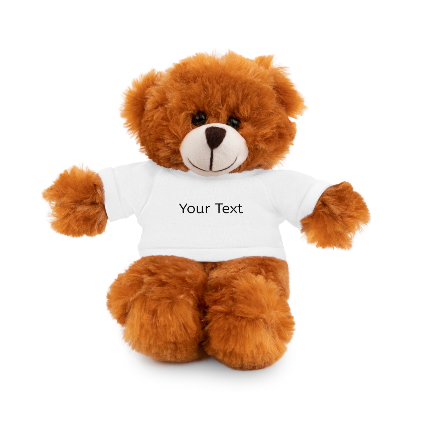 Personalized Stuffed Animal with Tee, Custom Teddy Bear Gift, Cuddly Plush Toy