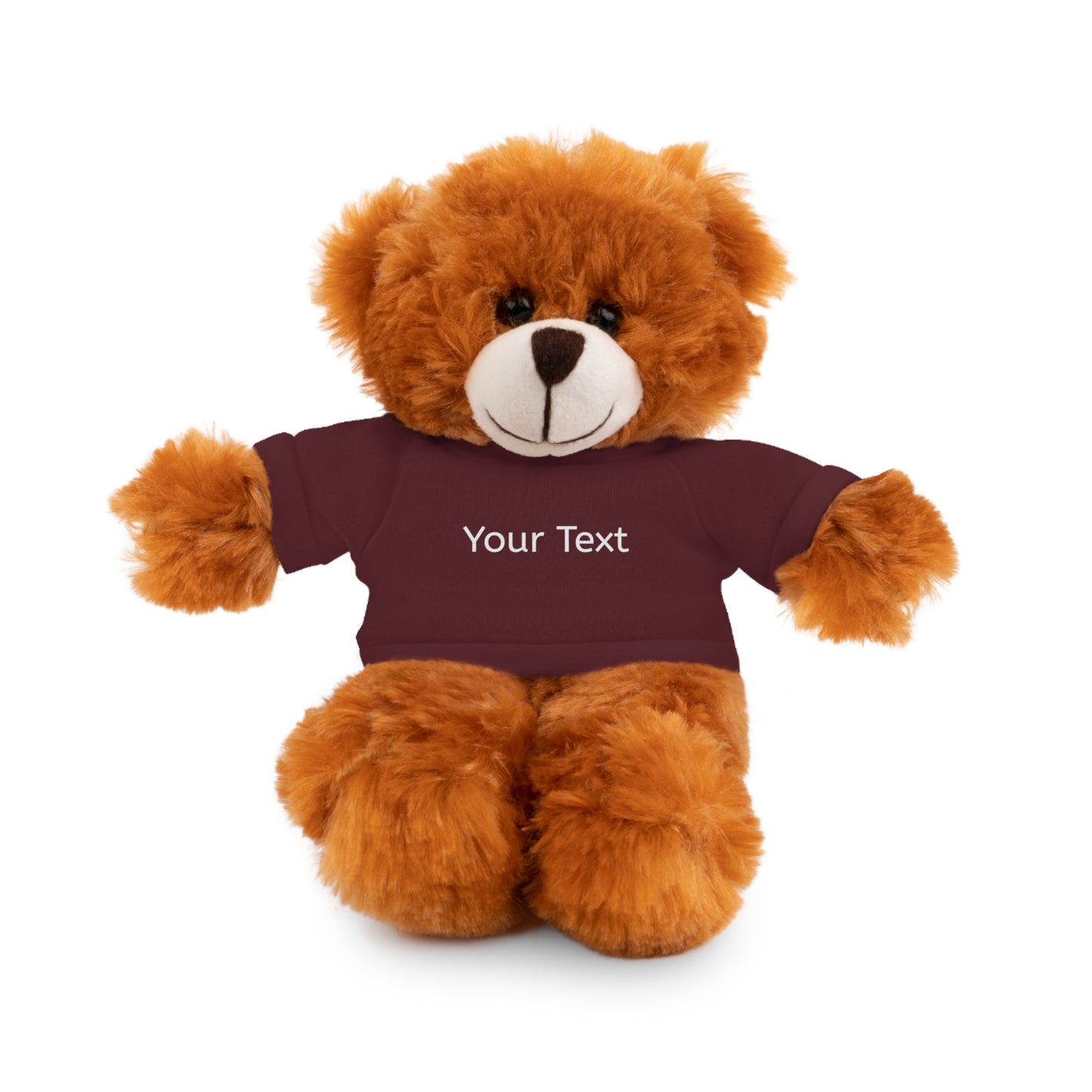 Personalized Stuffed Animal with Tee, Custom Teddy Bear Gift, Cuddly Plush Toy