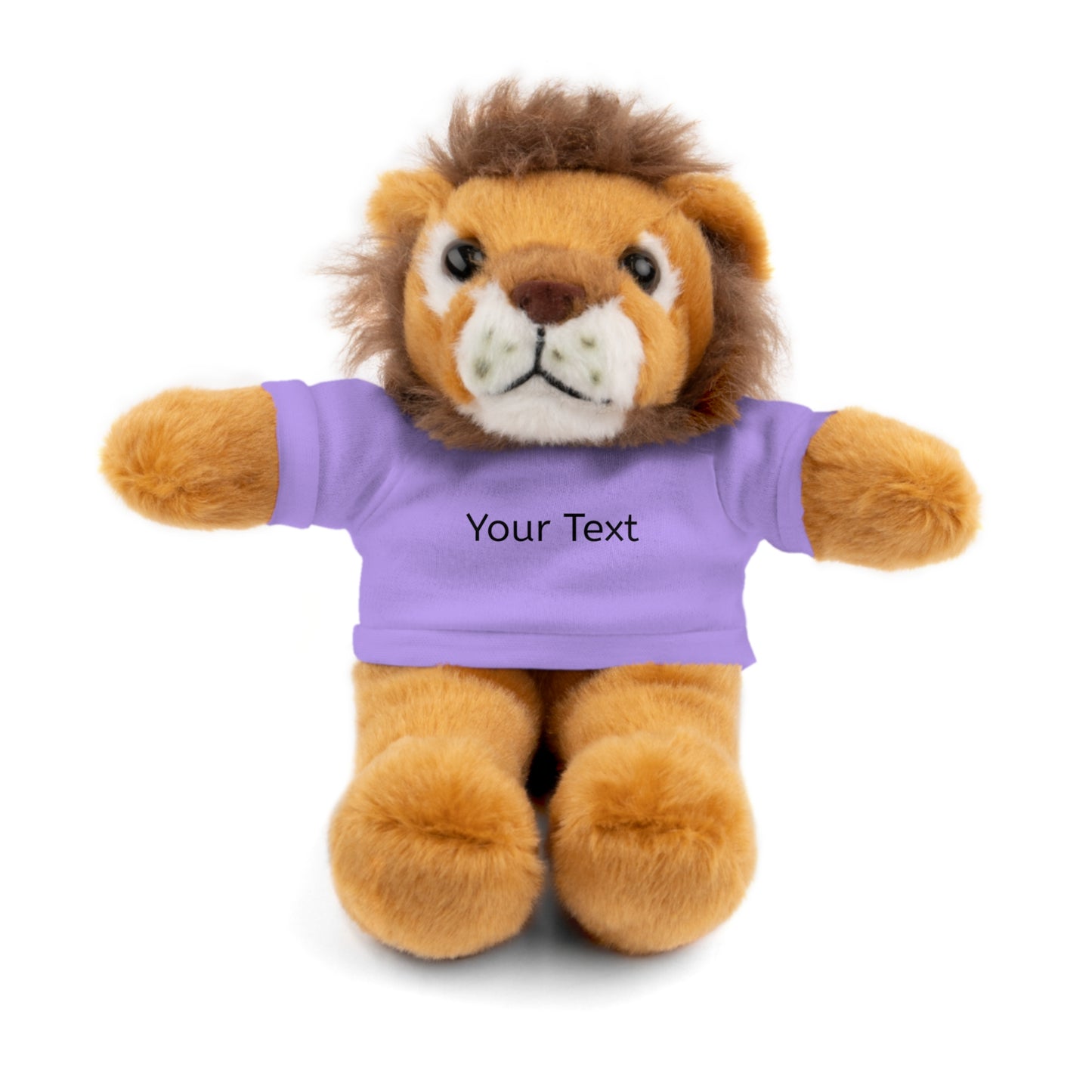 Personalized Stuffed Animal with Tee, Custom Teddy Bear Gift, Cuddly Plush Toy
